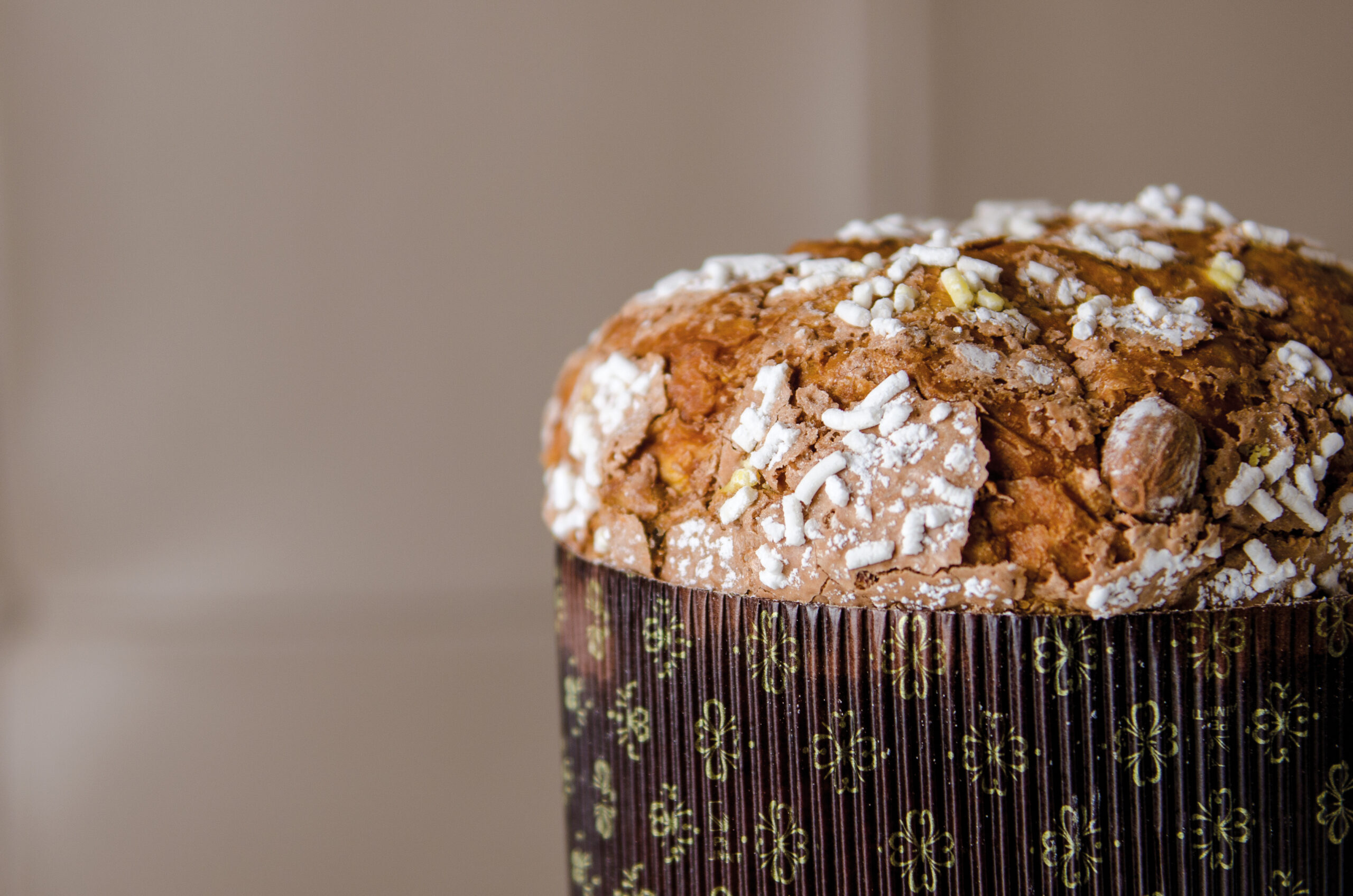Panettone Classico Panettone con glassa al cioccolato al latte e delle perle di cioccolato bianco su sfondo bianco